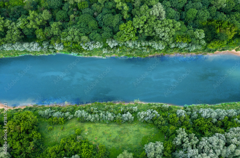top view of summer green trees with a river - obrazy, fototapety, plakaty 