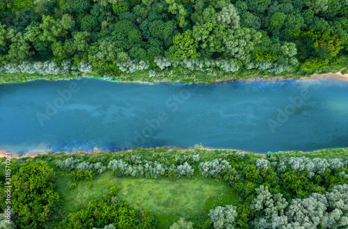 top view of summer green trees with a river