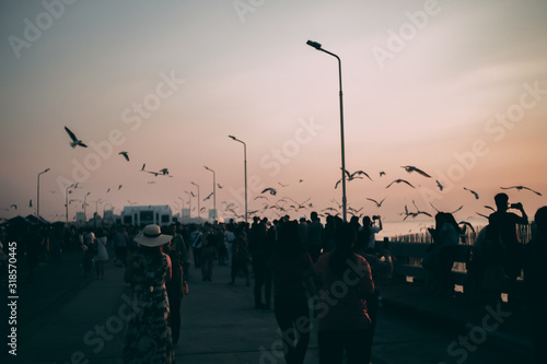 Silhouette of the sea on sunset background of the sky