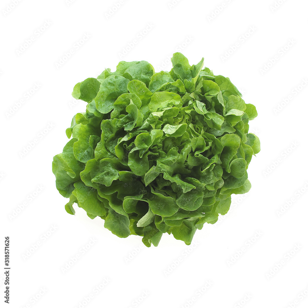 SCAROLE SCAROLE