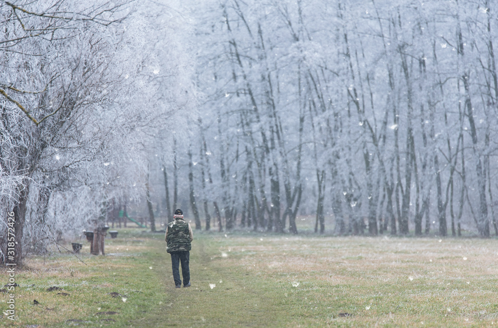 Old man walking in the winter park Old man walking in the winter park