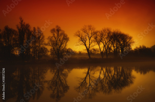 Trees Reflected on an Alpine Lake in Sunset in Switzerland.