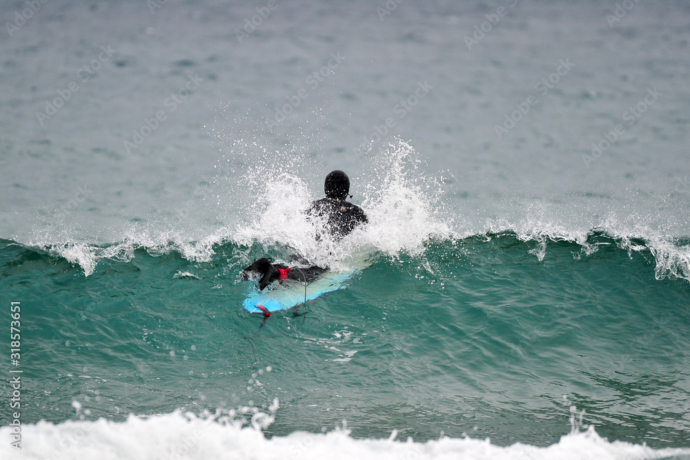 Korean Winter surfers at the Buheung-ri beach in Namjeong-Myeon, Yeongdeok-gun, South Korea. Korean Winter surfers at the Buheung-ri beach in Namjeong-Myeon, Yeongdeok-gun, South Korea.