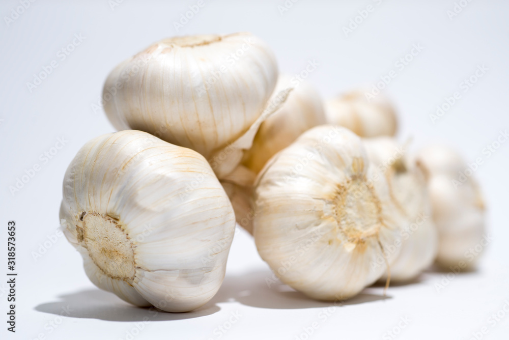 Garlic Bulb on White Background. Garlic Bulb on White Background.
