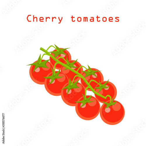Sprig with ripe cherry tomatoes. Isolate on a white background. Vector illustration.