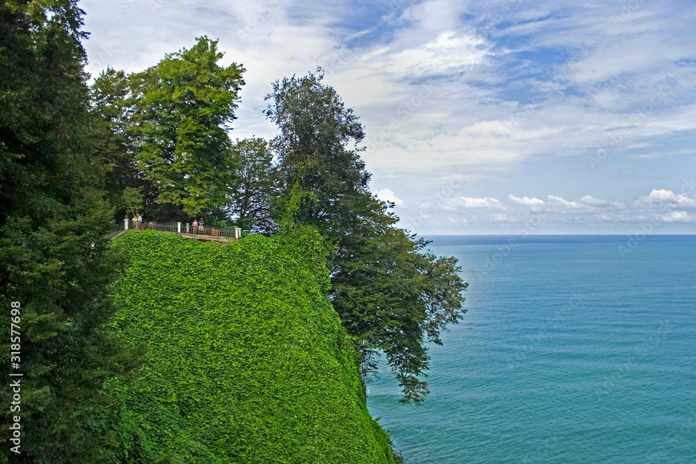 Green cape, completely covered with greenery. The coastal area with a viewing platform, towering high above the blue sea. Batumi Botanical Garden. Nice weather. The sky is a bit cloudy