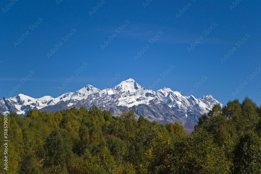 Mountain range of high snowy peaks against a clean blue sky. In the foreground are thick green trees. Bright autumn day in Svaneti, Georgia