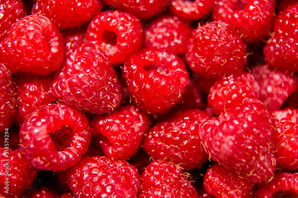Many red raspberries background, heap of summer fresh ripe berries, closeup Many red raspberries background, heap of summer fresh ripe berries, closeup