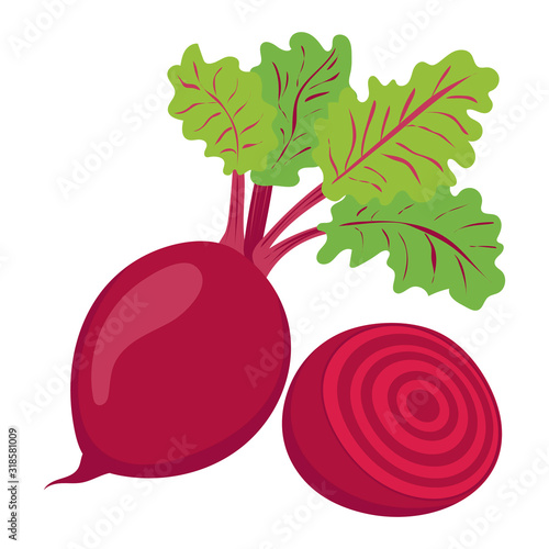 Beet. Vegetables. Natural food and healthy eating. Flat vector illustration isolated on white background.