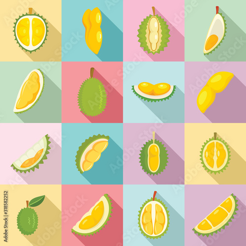 Durian icons set. Flat set of durian vector icons for web design