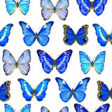 Watercolor seamless pattern with butterflies Morpho on white