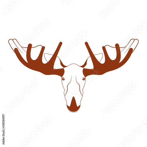 Caribou