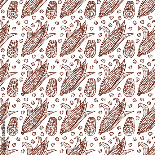 Vector Vegetable background. Hand drawn doodle Corn cobs and corn grains Seamless pattern