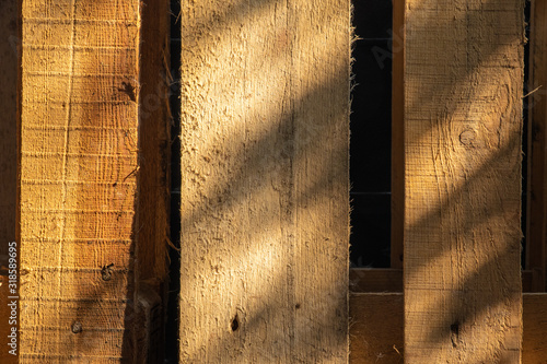 wood texture. background old panels