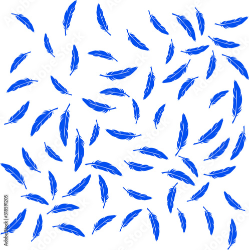 feather plume