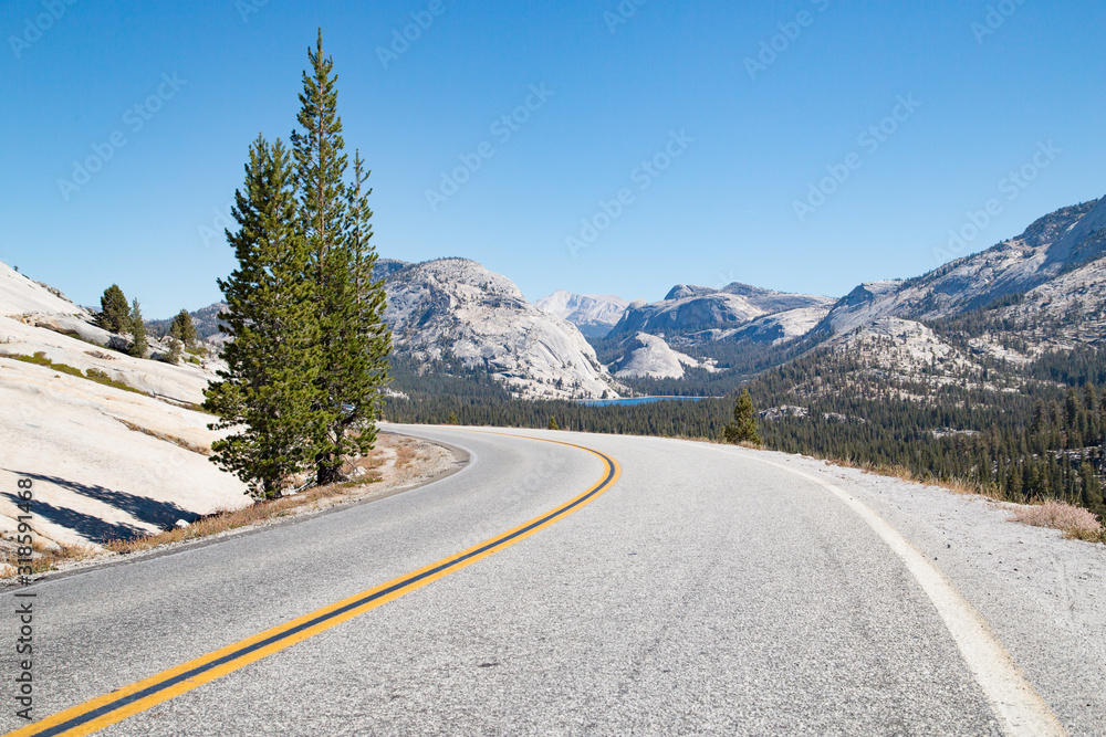 Empty road in Yosemite National Park, California, USA