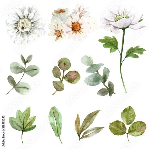 Leaf Pattern background