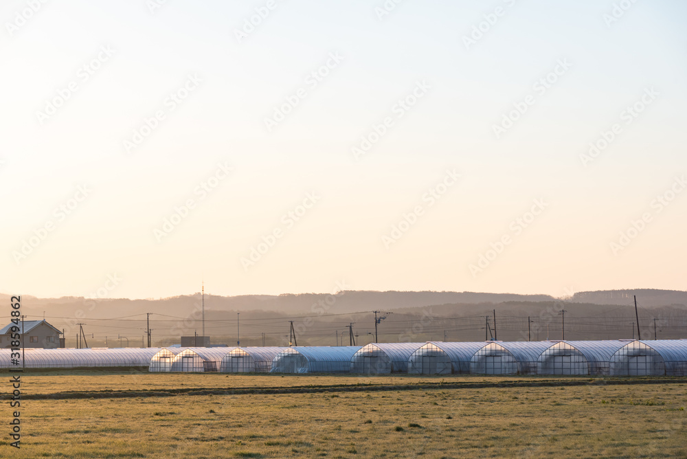 Obraz premium 朝焼けとビニールハウス / 北海道 新ひだか町