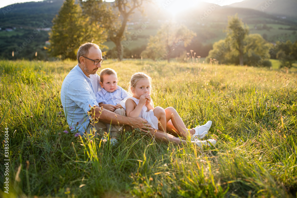 Fototapeta premium Young father with two small children sitting on meadow outdoors at sunset.