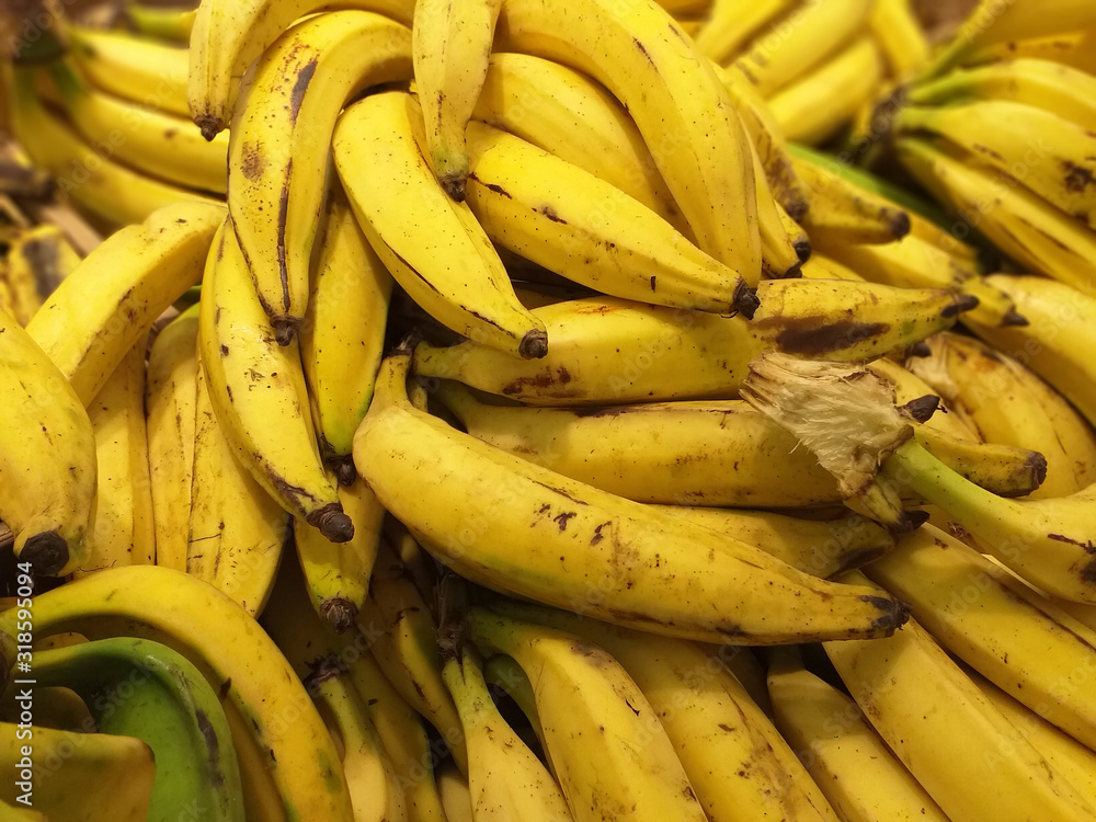 Close up view of plantain or Green Banana pile for sale.