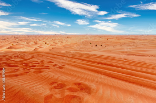 Desert landscape and sand dunes