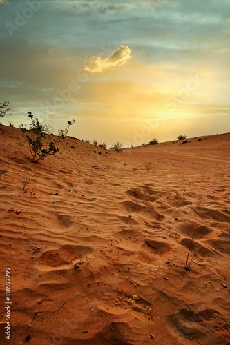 Desert sunset and sand dunes in Dubai