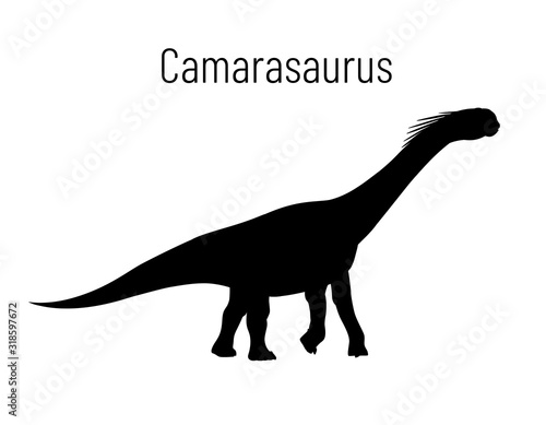 Camarasaurus. Sauropodomorpha dinosaur. Monochrome vector illustration of silhouette of prehistoric creature camarasaurus isolated on white background. Stencil. Huge fossil dinosaur.