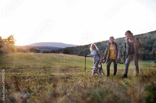 Senior women friends with dog on walk outdoors in nature at sunset. © Halfpoint