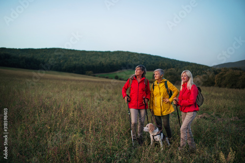 Senior women friends with dog on walk outdoors in nature at dusk.
