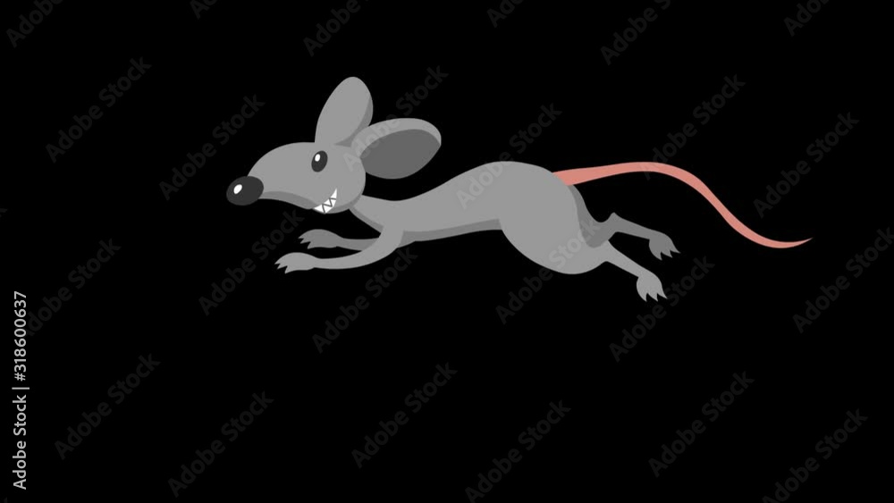 Looped animation of a running rat. Hand-drawn animation on a transparent  background. 25 fps Stock Video | Adobe Stock