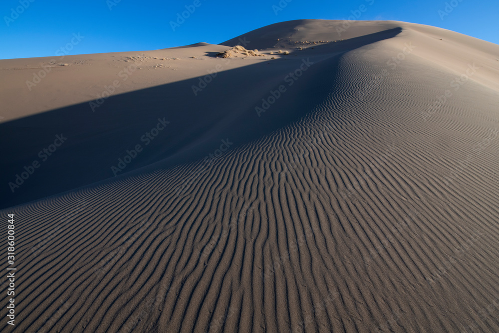Drift sand dunes in the Gobi desert