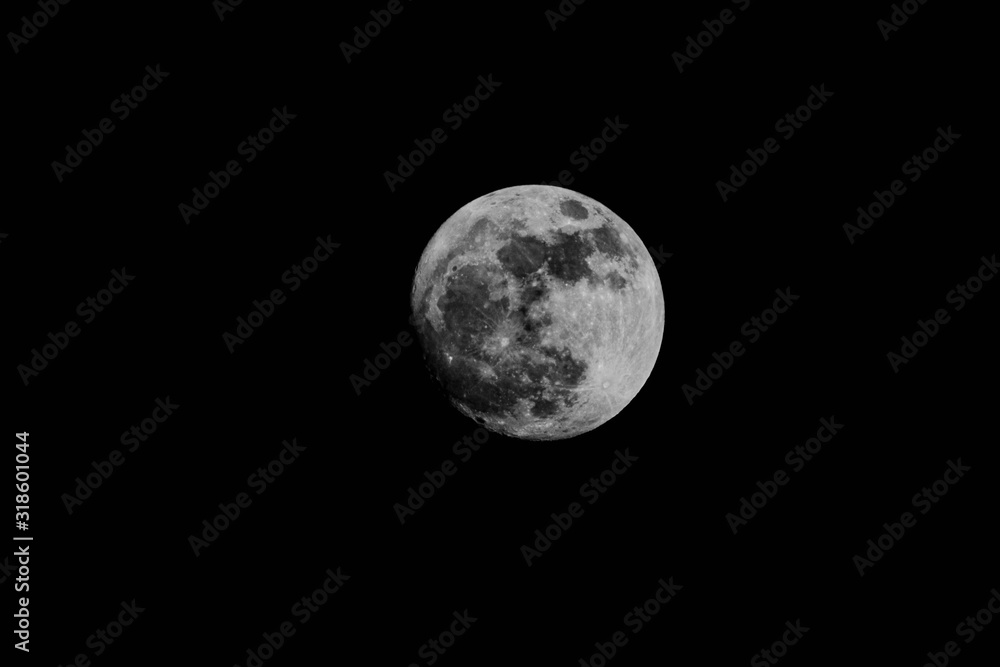 Fototapeta premium full moon in the sky