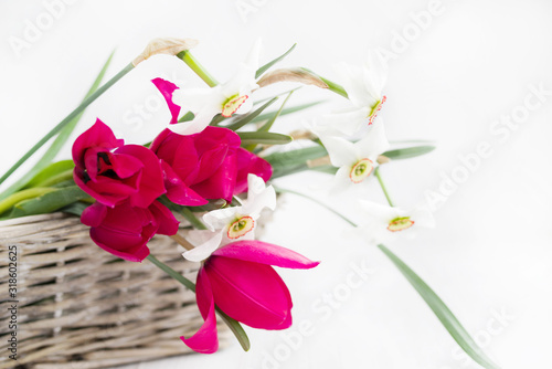 Fototapeta Naklejka Na Ścianę i Meble -  Bouquet of spring flowers in a basket on a light background, soft focus