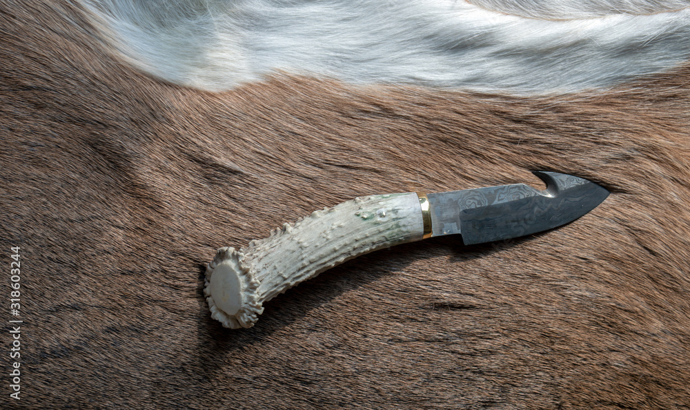 Φωτογραφία The concept of deer hunting with a photograph featuring a deer antler knife displayed on a whitetail deer hide