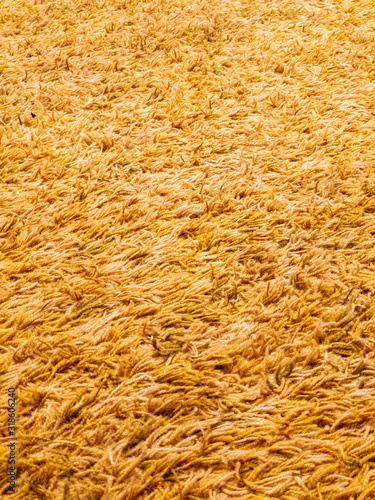 Photography Golden yellow long pile shaggy carpet