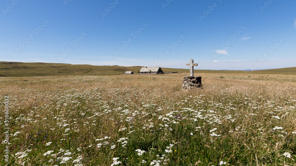 Obraz premium View over the meadows in Aubrac near Nasbinals