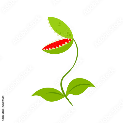 Venus fly trap. Clipart image isolated on white background