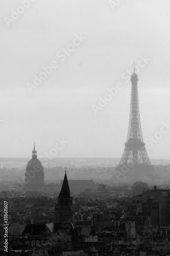 View from Notre Dame Cathedral towards Eiffel Tower, Paris, France