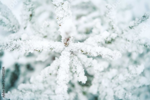 winter snow background © Marina