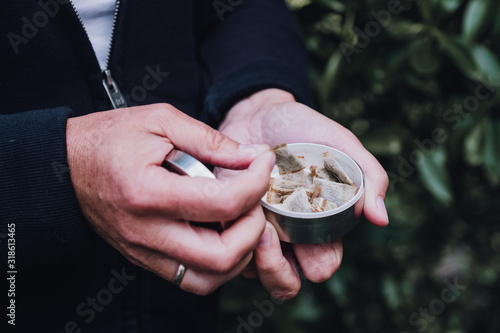Hands picking up a portion of snuff, snus nicotin pad from the box