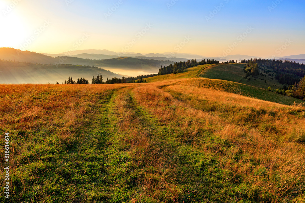 The mountain peaks of the Carpathian hills are filled with golden light in the morning sun.