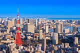 Japan. Tokyo on the background the blue sky. Japanese city view from a drone. Panorama of the city with a bay in the distance. Japan on a summer day. Traveling around the cities of Japan.