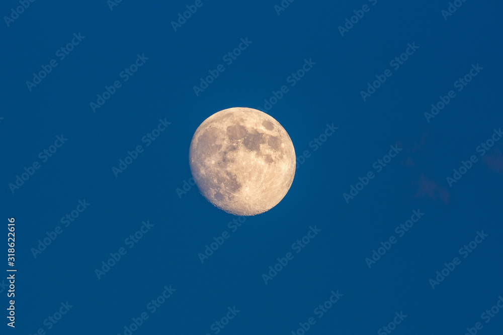 The Moon in the evening blue sky The Moon in the evening blue sky