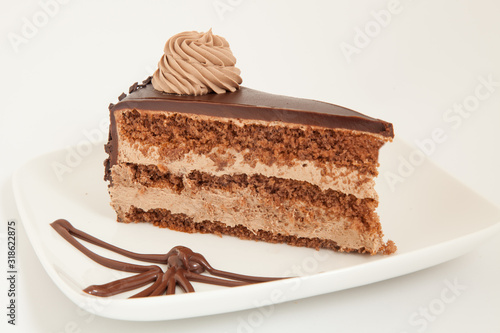 Slice of chocolate cake with decoration on white plate
