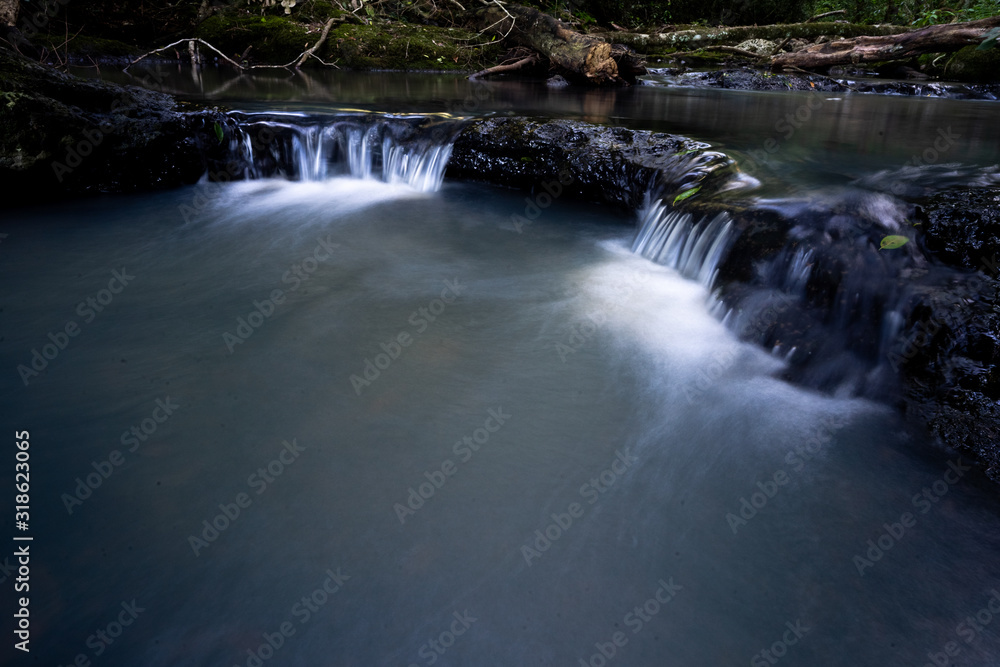 Obraz premium waterfall in forest