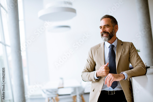 Portrait of senior business...