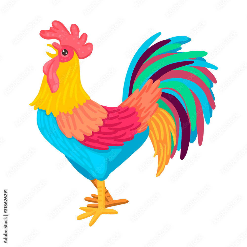 Morning rooster crows, bright plumage. Vector illustration of character on a white background.