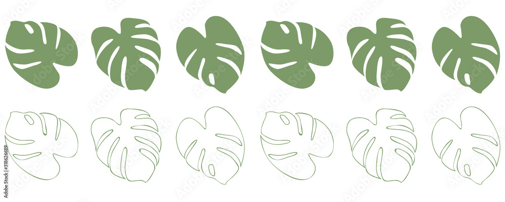 Fototapeta zielony liść palmy granicy na białym tle ilustracji wektorowych EPS10