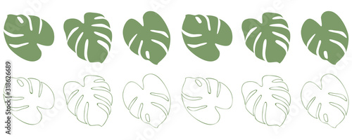 Fototapeta zielony liść palmy granicy na białym tle ilustracji wektorowych EPS10