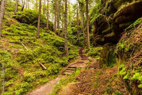 Landscape in Germany - A footpath leads through the jungle  past rock monuments.